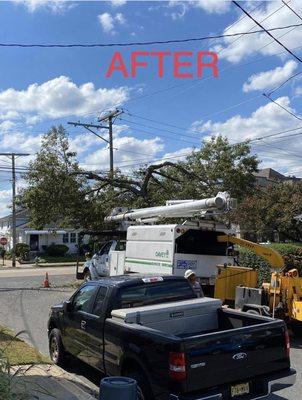 Before and after. The job was to clear a path for the wires. The tree should just come down.