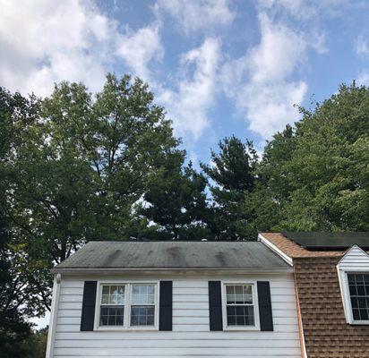 Roof in Howard County before our low pressure cleaning process.m