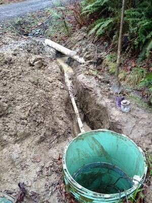 Same day septic repair!  Thanks Chris.