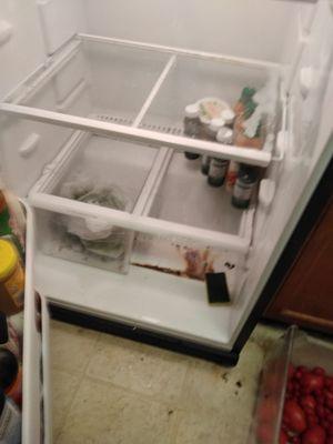 Fridge Before - Items removed