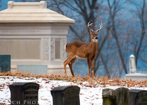 Finger Lakes Monument