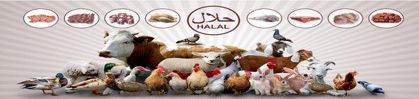  Archer Halal Live Poultry & Meats