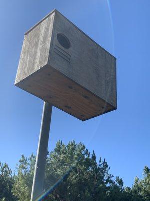 12/19/19 - Barn Owl Nesting Box occupied in Laguna Hills - The occupied nesting box.