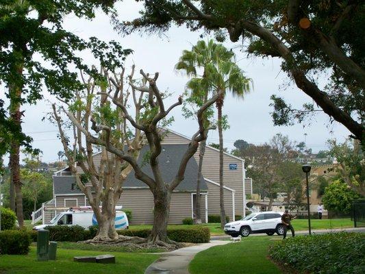 Point Loma Villas