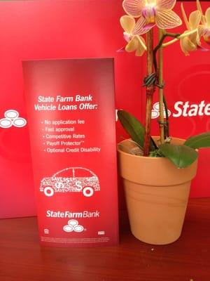 State farm offers a competitive vehicle loan product which includes the special payoff protector.