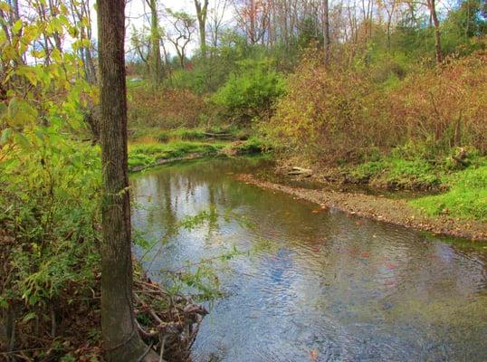 A little creek