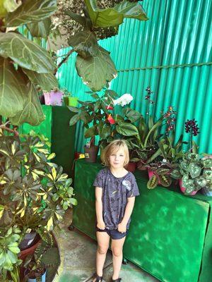 Phoenix - the extraordinary child and school garden