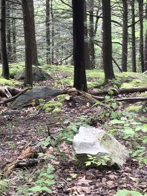 Minnewaska State Park near New Paltz