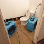 Toilet Flood