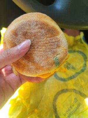 Moldy Egg McMuffin