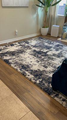 Family room area rug