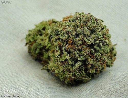 King Kush