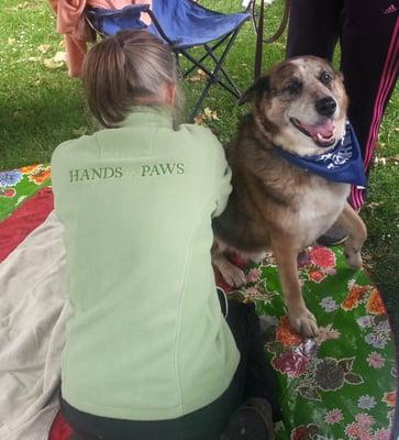 Happy dog at Furry 5K