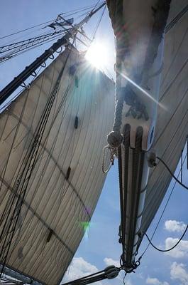 Sail details on the Pioneer