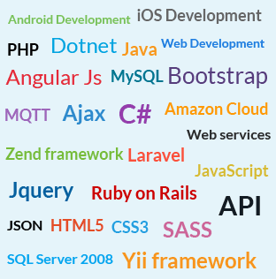 Angular Js Development