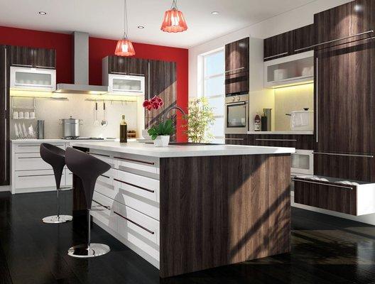 Modern Kitchen Cabinets and Doors