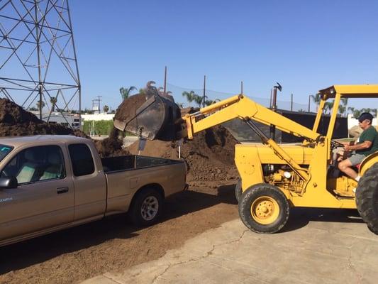 Loading my truck with compost mix with worm castings for $35 a yard. Other options include topsoil, 50-50 mix, mulch, etc.