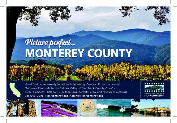 The lush vineyards of the Salinas Valley.