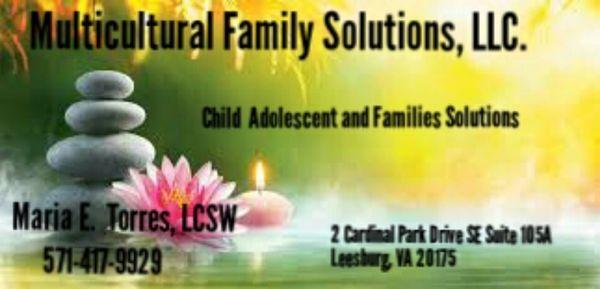 Multicultural Family Solutions