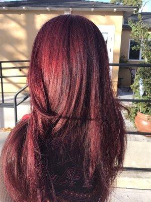 Beautiful Aveda hair color