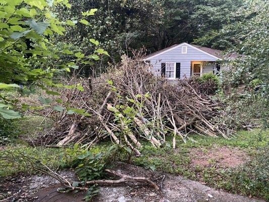 5 tons of cuttings killing my grass...