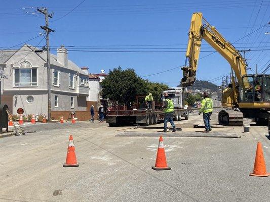 Compaction testing in the Sunset District