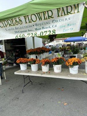 Cypress Flower at the Stonestown Farmers Market San Francisco