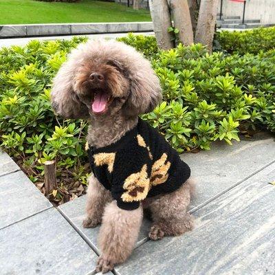 Doggie in fleece sweatshirt