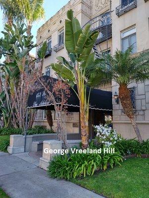 The Adelon was one of Jean Harlow's residences in Beverly Hills.  
 Photo by, George Vreeland Hill