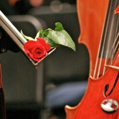 SCCS Cello and Rose (photo by Dina Scoppettone)