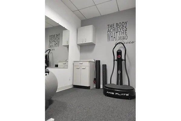 Whole body vibration plate