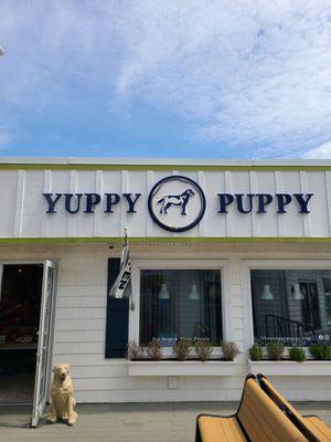 Yuppy Puppy in Bethany Beach, DE