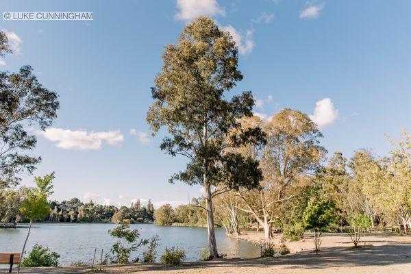 Vasona Lake County Park | Los Gatos