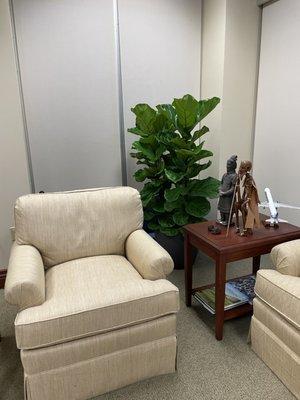 Add a Ficus Lyrata to your office space!