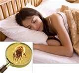 Dust Mite removal-mattress cleaning/sanitizing available-call for details...sleep east tonight!