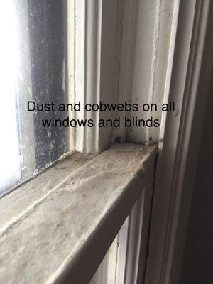 All of the windows were caked in dust from not cleaning after previous tenants vacated