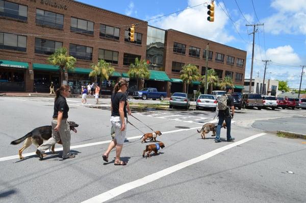 Environmental work in downtown Charleston, SC.