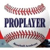 ProPlayer Baseball Academy logo