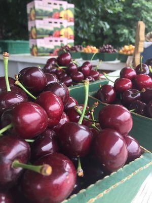 We sell a variety of cherry varietals at our cherry stand! Photographed here are Red Bings and "White" Rainiers.