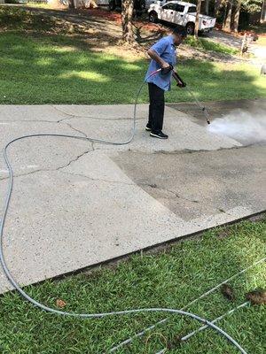 Mold removal and cleaning driveway