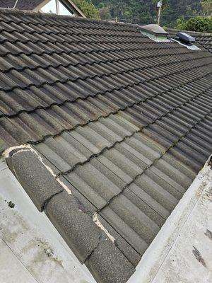 Do you have a dirty roof?  Make it shine like new and save on AC!