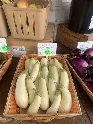 Heirloom eggplant