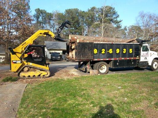 Tree removal in Marietta ga