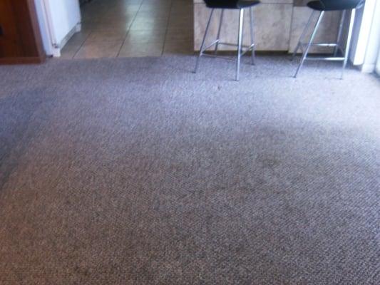 Vomit, feces, and urine stains removed and the carpet was sanitized and deodorized.