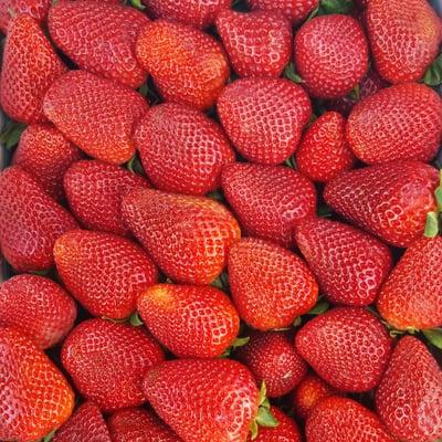 Santa Maria strawberries are here! Stop on by for your egg size strawberries, grab some for this Easter weekend for a natural sweet treat!