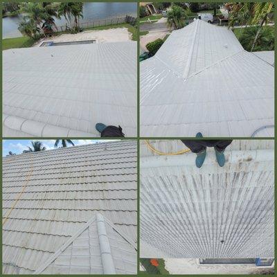 BEFOR & AFTER
Roof Cleaning