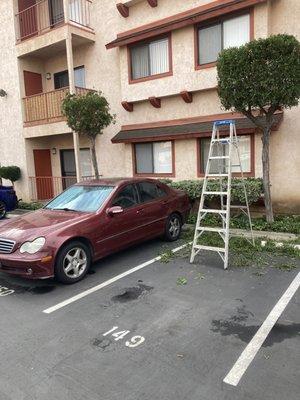 Came outside just a second too late. The maintenance grounds are into even piling their work on your vehicle if it's not moved.