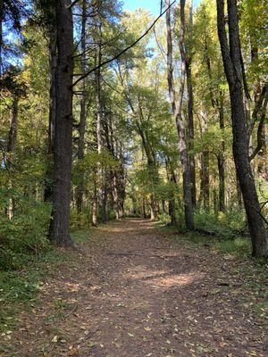 Stackpole Trail