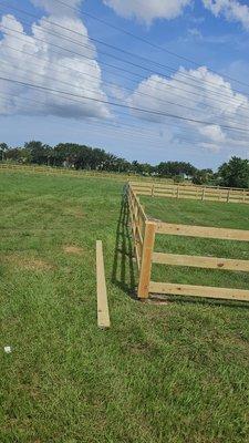 Vicente Fence