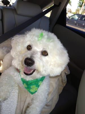 Right after my first groom at Vicky's